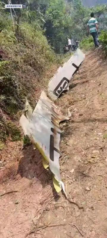 “3·21”东航MU5735航班机上132人全部遇难(东航mu2556航班)_行业资讯_第2张_百科参考网 “3·21”东航MU5735航班机上132人全部遇难(东航mu2556航班)_https://www.whai.cc_行业资讯_第2张